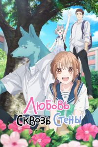 Сериал: Любовь сквозь стены