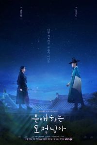 Сериал: Моя любимая воровка