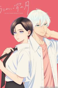 Аниме сериал: Прекрасная вечерняя луна