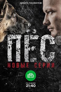 Сериал: Пес