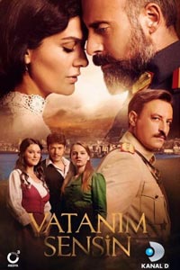 Сериал: Ты моя Родина